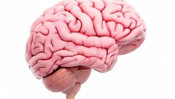 Προειδοποιητικά σημεία Εγκεφαλικού